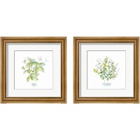 Framed 'Let it Grow 2 Piece Framed Art Print Set' border=