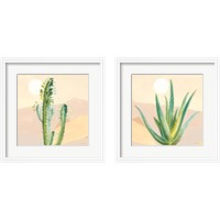 Framed 'Desert Greenhouse 2 Piece Framed Art Print Set' border=