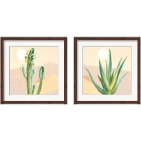 Framed 'Desert Greenhouse 2 Piece Framed Art Print Set' border=