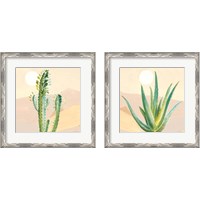 Framed 'Desert Greenhouse 2 Piece Framed Art Print Set' border=