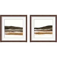 Framed Marsh  2 Piece Framed Art Print Set