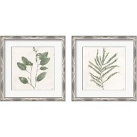 Framed Plantlife Green 2 Piece Framed Art Print Set