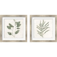 Framed 'Plantlife Green 2 Piece Framed Art Print Set' border=