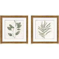 Framed 'Plantlife Green 2 Piece Framed Art Print Set' border=