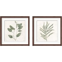 Framed Plantlife Green 2 Piece Framed Art Print Set