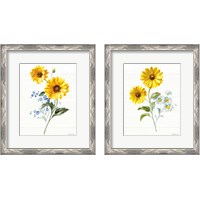 Framed 'Bees and Blooms Flowers 2 Piece Framed Art Print Set' border=