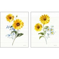 Framed Bees and Blooms Flowers 2 Piece Art Print Set
