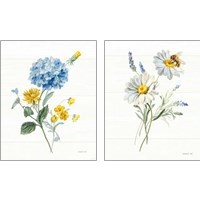 Framed 'Bees and Blooms Flowers 2 Piece Art Print Set' border=