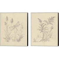 Framed 'Vintage Nature Sketchbook 2 Piece Canvas Print Set' border=
