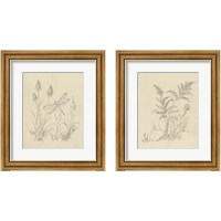 Framed Vintage Nature Sketchbook 2 Piece Framed Art Print Set