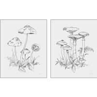 Framed Natures Sketchbook 2 Piece Art Print Set