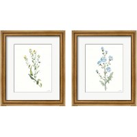 Framed Flowers of the Wild 2 Piece Framed Art Print Set