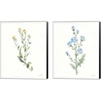 Framed Flowers of the Wild 2 Piece Canvas Print Set
