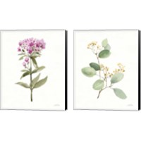 Framed 'Flowers of the Wild 2 Piece Canvas Print Set' border=
