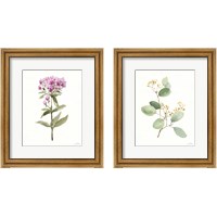 Framed 'Flowers of the Wild 2 Piece Framed Art Print Set' border=