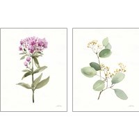 Framed Flowers of the Wild 2 Piece Art Print Set