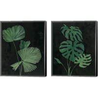Framed 'Palm Botanical 2 Piece Canvas Print Set' border=