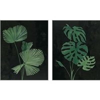 Framed 'Palm Botanical 2 Piece Art Print Set' border=