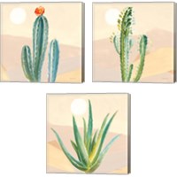 Framed 'Desert Greenhouse 3 Piece Canvas Print Set' border=
