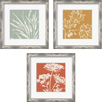 Framed 'Autumn Tones 3 Piece Framed Art Print Set' border=