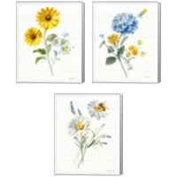 Framed 'Bees and Blooms Flowers 3 Piece Canvas Print Set' border=