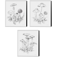 Framed 'Natures Sketchbook 3 Piece Canvas Print Set' border=