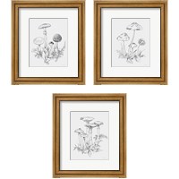 Framed Natures Sketchbook 3 Piece Framed Art Print Set