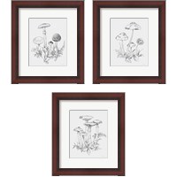 Framed Natures Sketchbook 3 Piece Framed Art Print Set