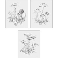 Framed 'Natures Sketchbook 3 Piece Art Print Set' border=