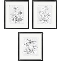 Framed 'Natures Sketchbook 3 Piece Framed Art Print Set' border=