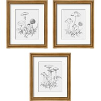 Framed 'Natures Sketchbook 3 Piece Framed Art Print Set' border=