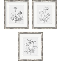 Framed 'Natures Sketchbook 3 Piece Framed Art Print Set' border=