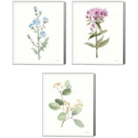 Framed 'Flowers of the Wild 3 Piece Canvas Print Set' border=
