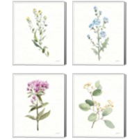 Framed 'Flowers of the Wild 4 Piece Canvas Print Set' border=