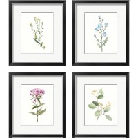 Framed 'Flowers of the Wild 4 Piece Framed Art Print Set' border=