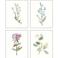 Framed 'Flowers of the Wild 4 Piece Art Print Set' border=