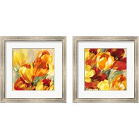 Framed 'Tulips in the Sun 2 Piece Framed Art Print Set' border=