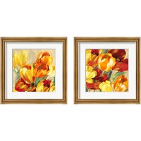 Framed Tulips in the Sun 2 Piece Framed Art Print Set