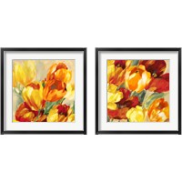 Framed 'Tulips in the Sun 2 Piece Framed Art Print Set' border=