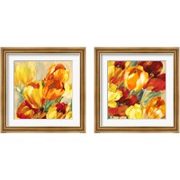 Framed 'Tulips in the Sun 2 Piece Framed Art Print Set' border=