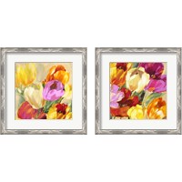 Framed 'Colorful Tulips 2 Piece Framed Art Print Set' border=