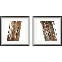 Framed 'Walnut Falls 2 Piece Framed Art Print Set' border=