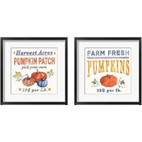 Framed 'Fall Flair 2 Piece Framed Art Print Set' border=