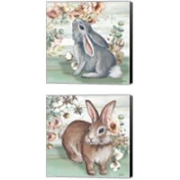 Framed 'Farmhouse Bunny 2 Piece Canvas Print Set' border=