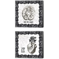 Framed 'Arsenic and Anatomy 2 Piece Canvas Print Set' border=