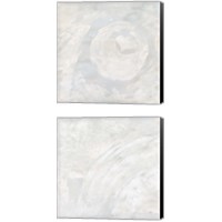 Framed Toned Texture 2 Piece Canvas Print Set
