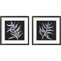 Framed 'White Fern 2 Piece Framed Art Print Set' border=