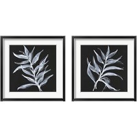 Framed White Fern 2 Piece Framed Art Print Set