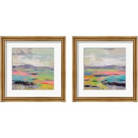 Framed 'Blooming Field 2 Piece Framed Art Print Set' border=
