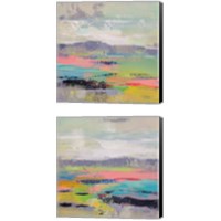 Framed Blooming Field 2 Piece Canvas Print Set